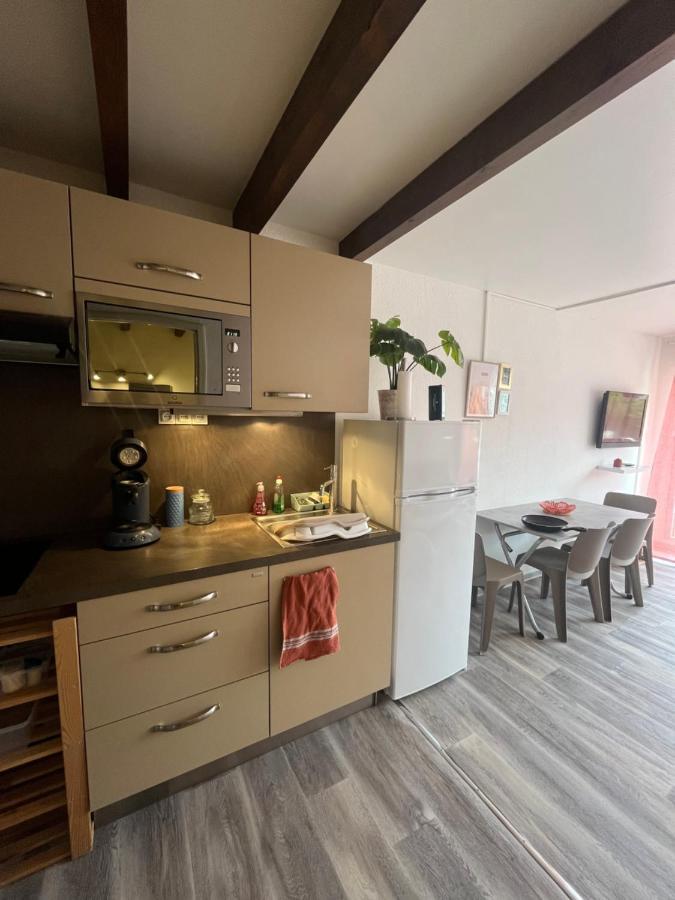 Appartement Argeles-Sur-Mer Avec Piscine A 500M De La Mer Exteriér fotografie